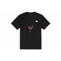 THE NORTH FACE T
