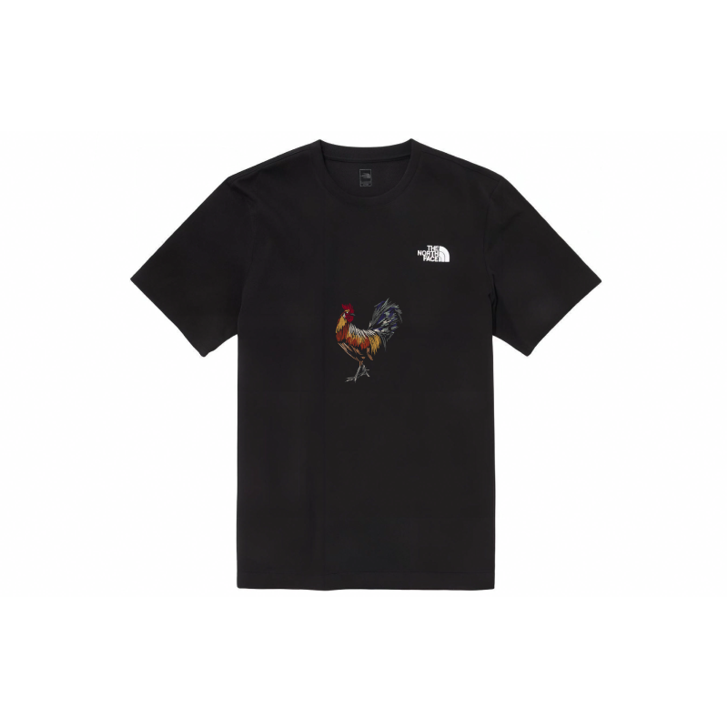 THE NORTH FACE T