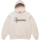 Supreme FW24 WEEK1 Embroidered Script Hooded Sweatshirt logo
