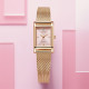 CITIZEN Juicy TintJT EJ6123-81X