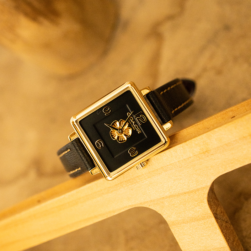 COACH Cass 22*22mm 30 14503695