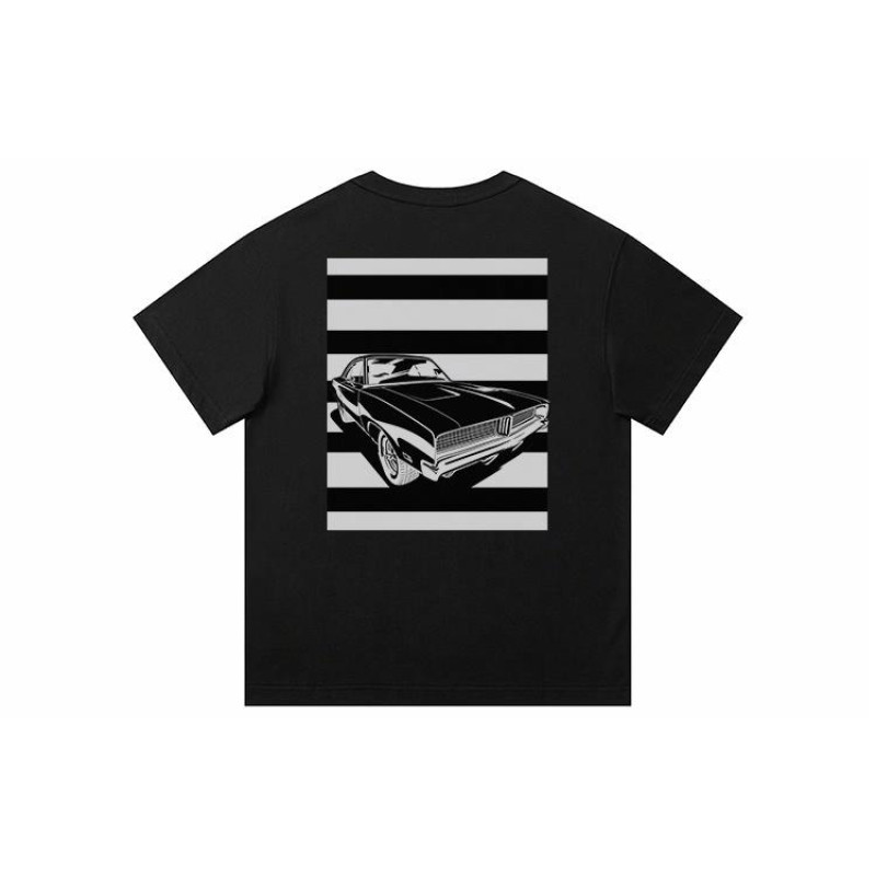 FAIRWHALE T