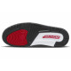 Jordan Air Jordan Legacy 312 Low