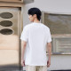 FAIRWHALE T
