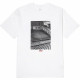 Vans T