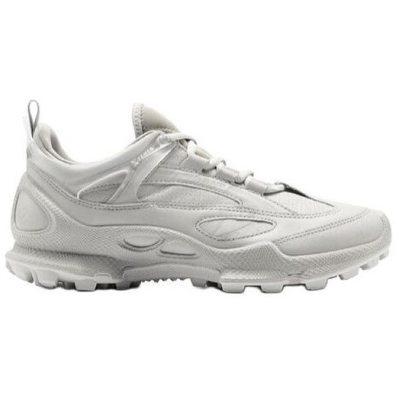 ecco Biom C Trail