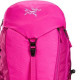 Arcteryx Mantis 20L