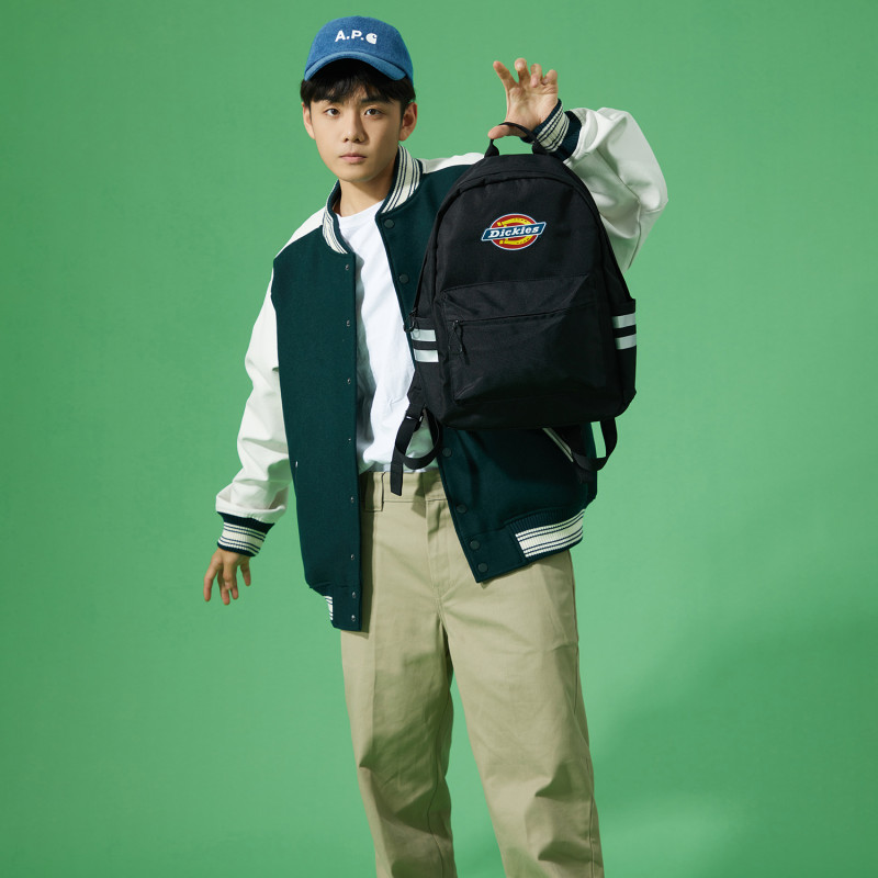 Dickies 100