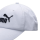 PUMA -