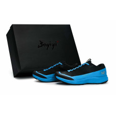 Arcteryx Aerios Fl 2 GTX 811