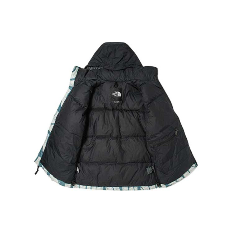THE NORTH FACE 1996 Retro Nuptse 700