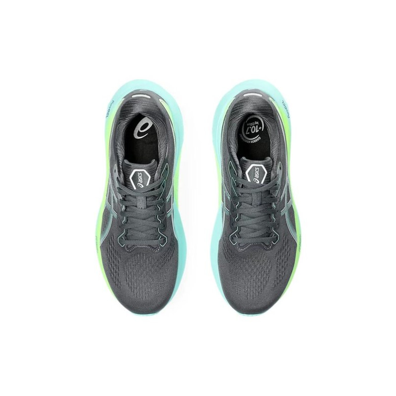 Asics Gel-Kayano 30