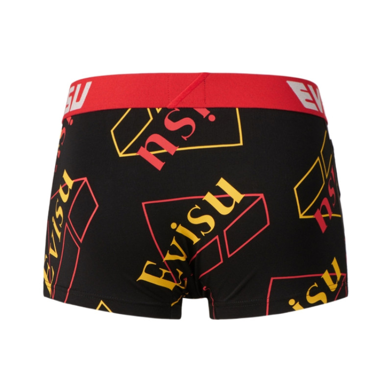 EVISU 2