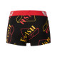 EVISU 2