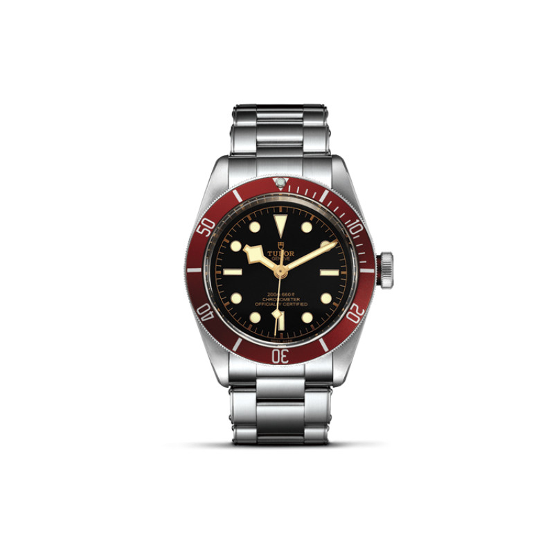 TUDOR 41mm M79230R-0012