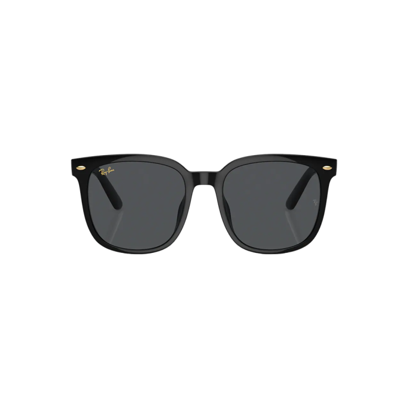 RayBan