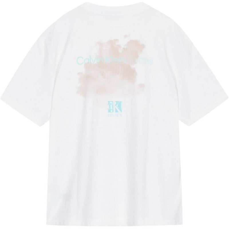 CALVIN KLEIN T