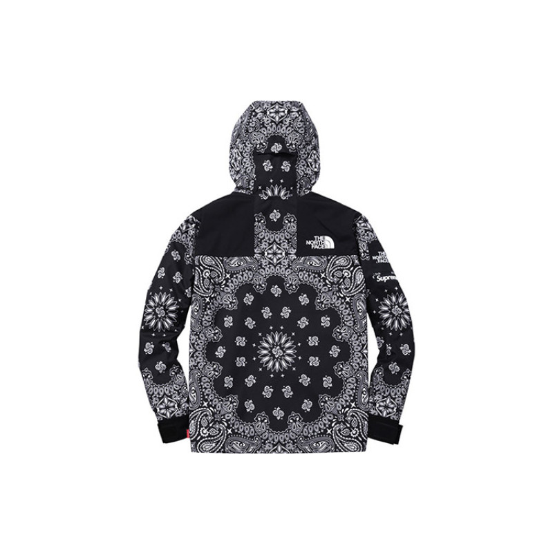 Supreme x THE NORTH FACE TNF