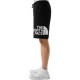 THE NORTH FACE 23SS Logo