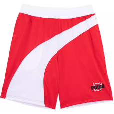 PUMA TEAMWEAR FLARE logo