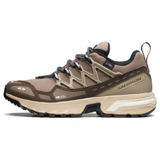 SALOMON ACS + CSWP