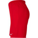 Nike Dri-FIT