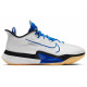 Nike Air Zoom BB NXT EP