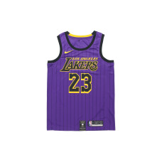 Nike NBA LeBron James SW 23