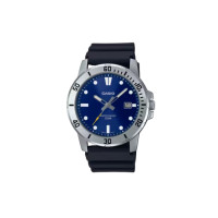 CASIO MTP-VD01-2EV