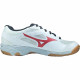 Mizuno