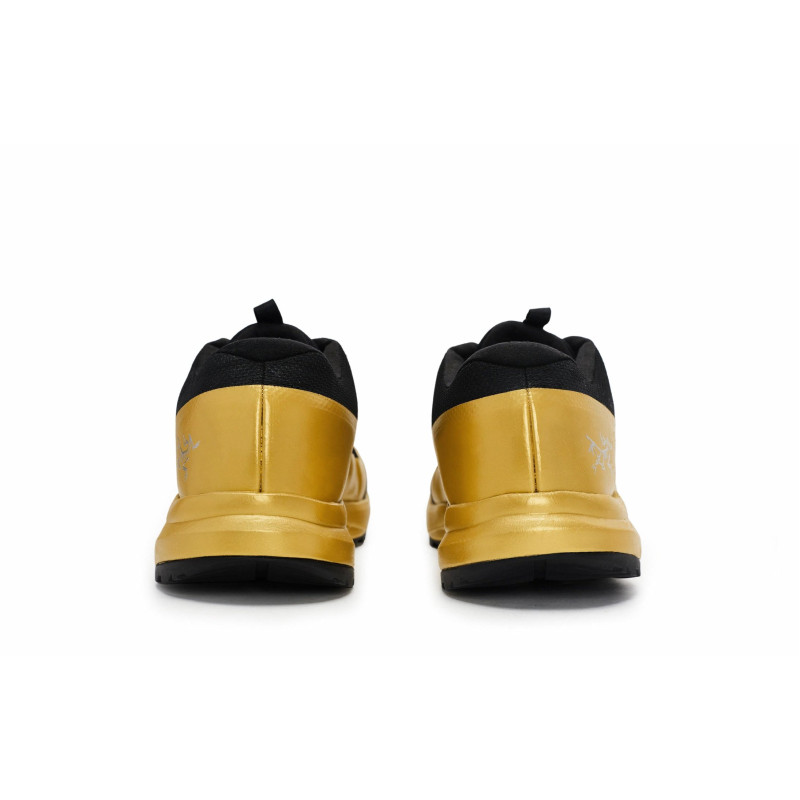 Arcteryx Aerios Fl 2 GTX 811