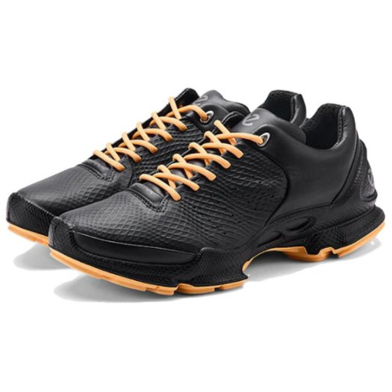ecco BIOM C