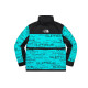 Supreme x the north face logo