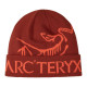 Arcteryx
