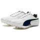 PUMA Evospeed Spring 12 Sp