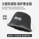Jeep ins