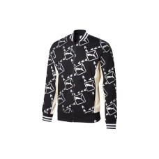 Puma Metallic Logo