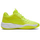 PUMA TPU