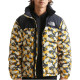 THE NORTH FACE Logo