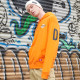 Dickies Logo