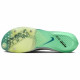 Nike Air Zoom Victory 2
