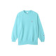 Champion T