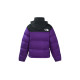 THE NORTH FACE 1996 Nuptse 700
