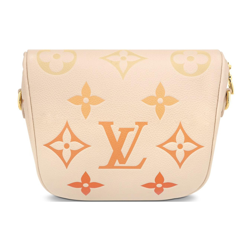 LOUIS VUITTON Bumbag Logo