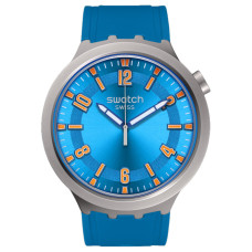 SWATCHSwatch Essentials 30 47mm