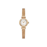 CITIZEN EG7082-66A