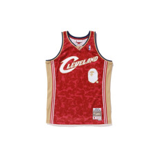 A BATHING APE x Mitchell Ness