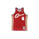 A BATHING APE x Mitchell Ness