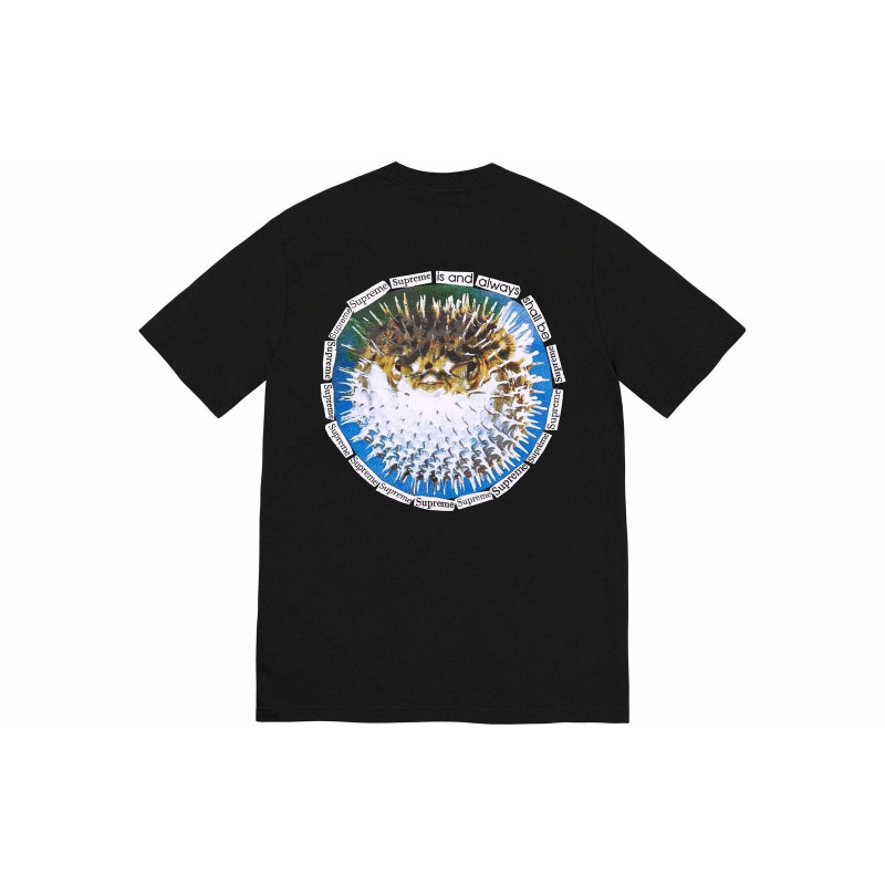 Supreme SS23 WEEK18 BLOWFISH TEE T