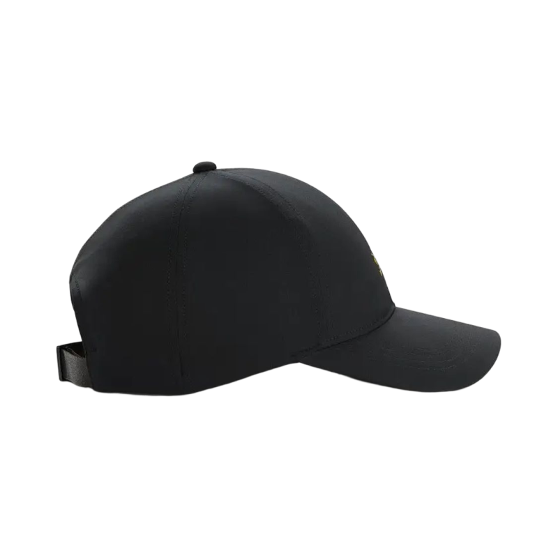 Arcteryx